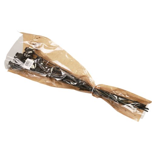 Floristik24 Gedroogde bloemen papavercapsules gedroogde zwarte papaver 80g