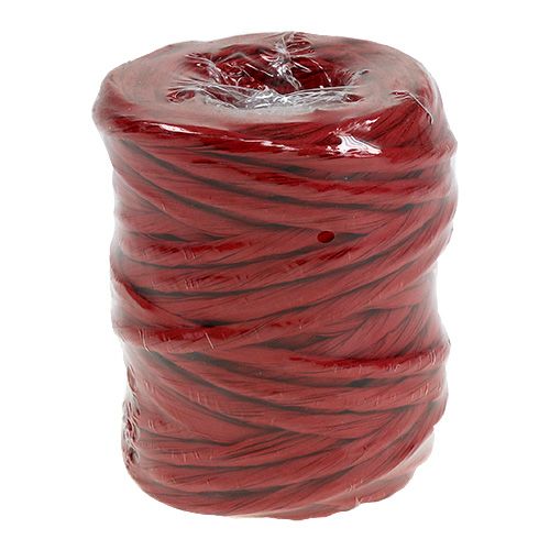 Artikel Papierkoord 6mm 23m rood