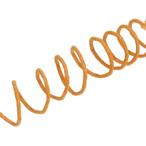Floristik24 Papieren koord draad gewikkeld Ø0,8mm 22m oranje