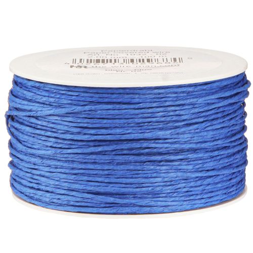 Floristik24 Papierkoord draad gewikkeld Ø2mm 100m Blauw