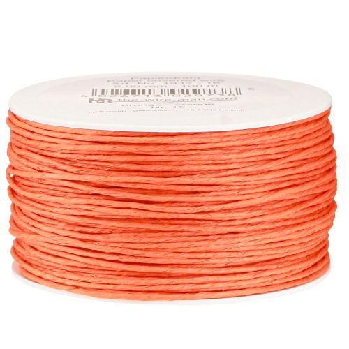 Floristik24 Papierkoord draad gewikkeld Ø2mm 100m Oranje