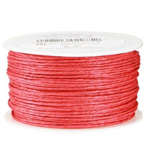 Floristik24 Papierkoord draad gewikkeld Ø2mm 100m rood