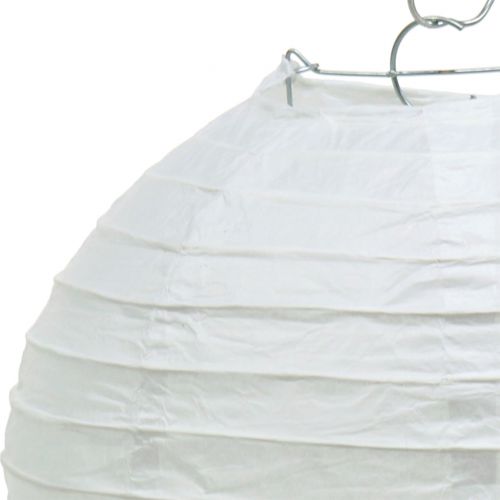 Floristik24 Papieren lantaarn wit Ø20cm