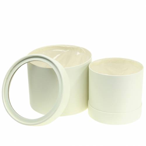 Floristik24 Bloembak rond karton creme Ø12,5/16cm set van 2