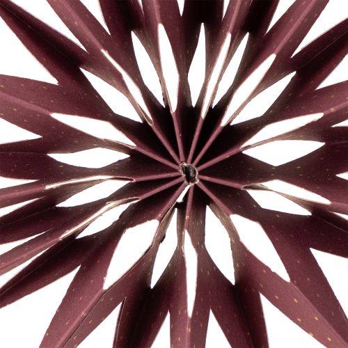 Artikel Papieren sterren, Bordeauxroze, om op te hangen, Ø10cm, 4 stuks