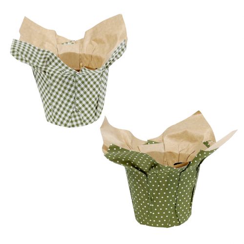Floristik24 Papieren pot met patroon groen-wit Ø9,5cm 12 st