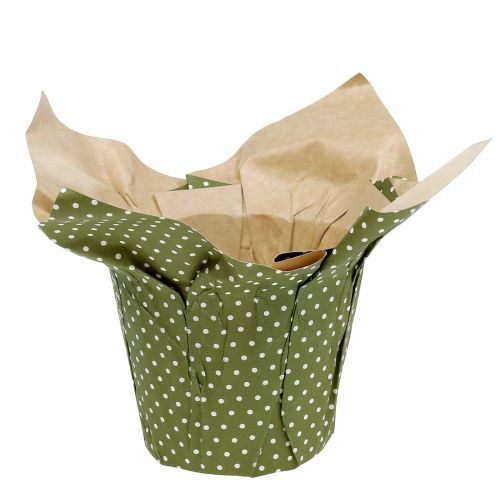Floristik24 Papieren pot met patroon groen-wit Ø9,5cm 12 st