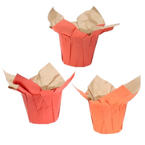 Floristik24 Papierpot plantenbak oranje / rood Ø10cm 12st