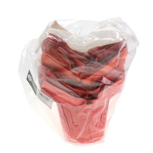 Floristik24 Papierpot plantenbak oranje / rood Ø10cm 12st