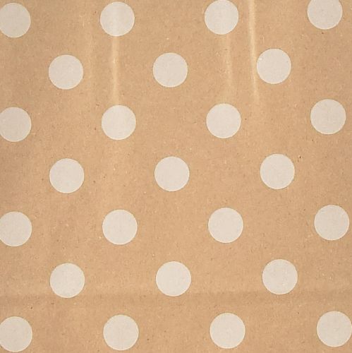 Artikel Cadeauzakjes papieren draagtassen stippen 18×22cm 50 st