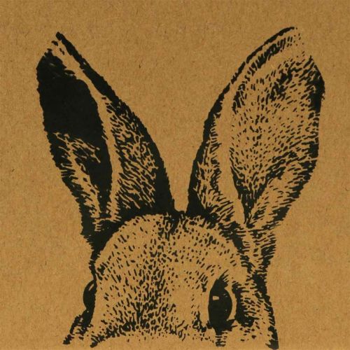 Artikel Cadeauzakje Paaspapieren zakje konijntje bruin 12×6×15cm 8 st