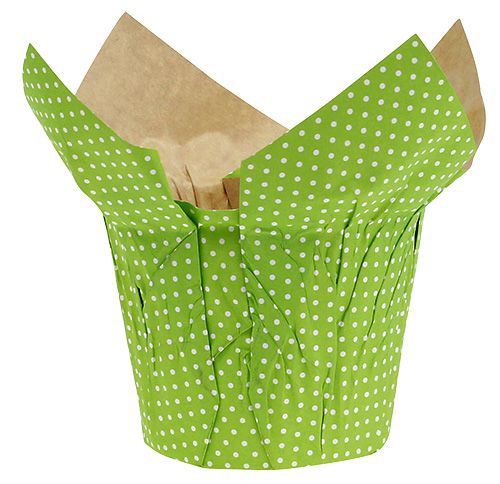 Floristik24 Papieren pot Ø10cm H8cm groen 8st