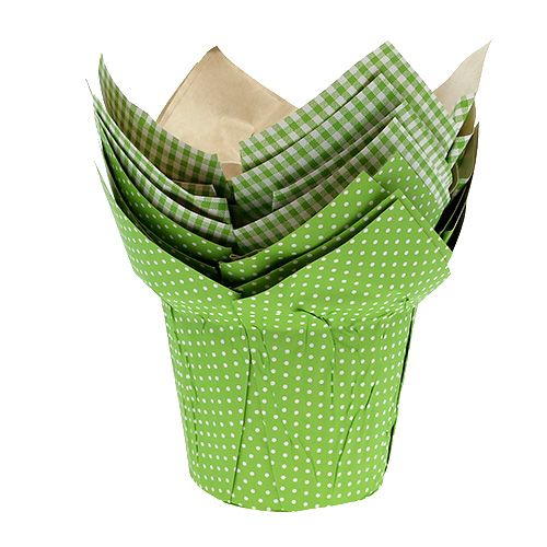 Floristik24 Papieren pot Ø10cm H8cm groen 8st