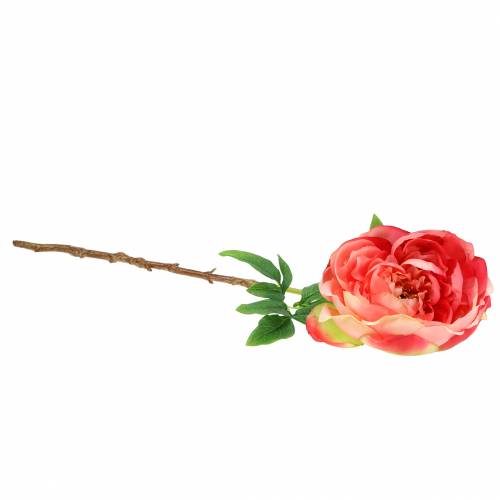 Floristik24 Pioenroos 59cm