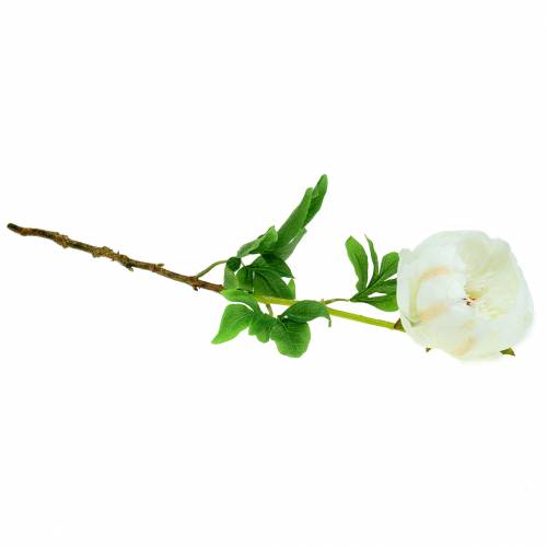 Floristik24 Pioen wit 59cm