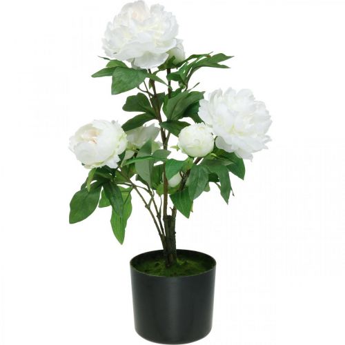 Paeonia kunst, pioen in pot, decoratieve plant witte bloemen H57cm