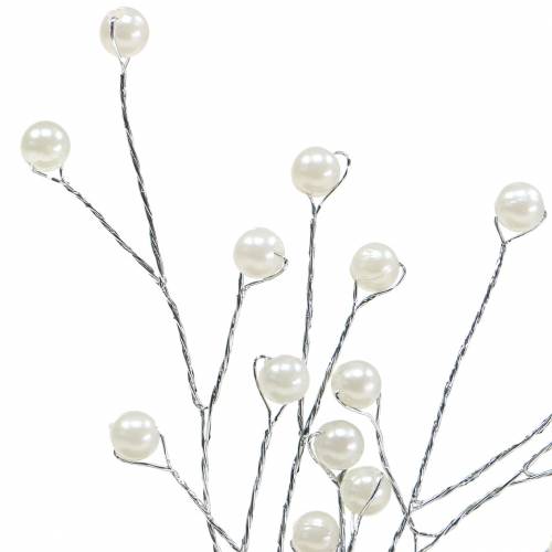 Floristik24 Pareltak champagne L18cm 2 st