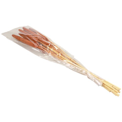 Artikel Parelgierst Decoratief Riet Babala Gierst Bruin 70cm 10 st