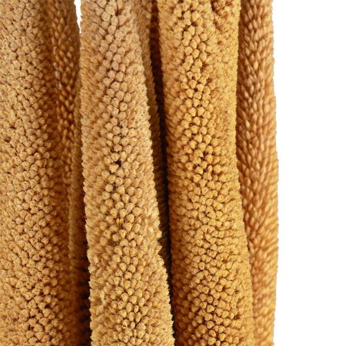 Artikel Parelgierst Decoratieve Rietbollen Babala Millet Geel 70cm 10 st