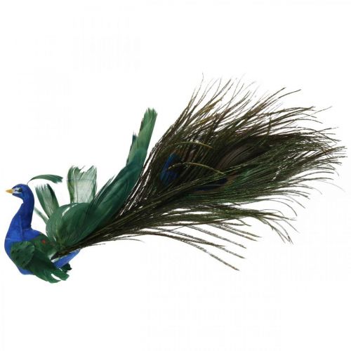 Floristik24 Paradijsvogel, pauw om te klemmen, verenvogel, vogeldecoratie blauw, groen, kleurrijk H8.5 L29cm
