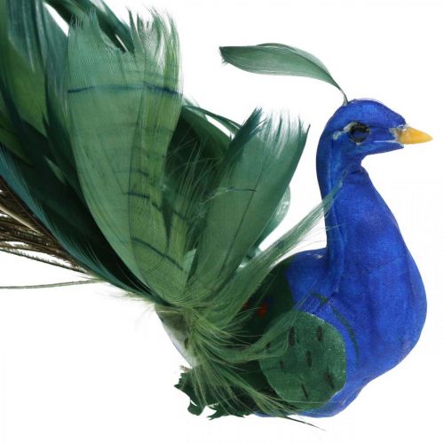 Floristik24 Paradijsvogel, pauw om te klemmen, verenvogel, vogeldecoratie blauw, groen, kleurrijk H8.5 L29cm