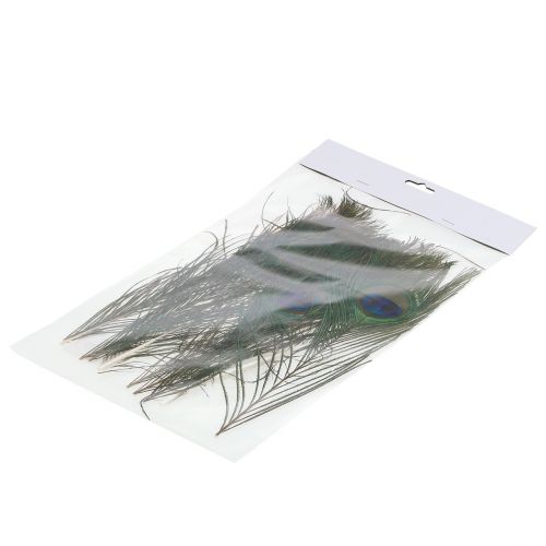 Floristik24 Pauwenveren 22cm - 30,5cm 12st
