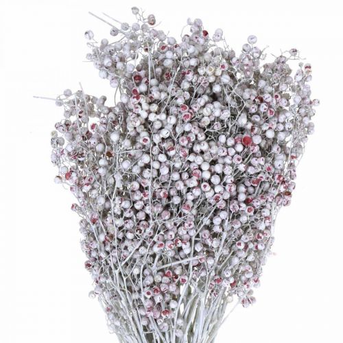 Gesneeuwde peperbessen, winterdecoratie, droogbloemen, advent, roze peper gewassen wit 170g