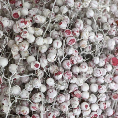 Floristik24 Gesneeuwde peperbessen, winterdecoratie, droogbloemen, advent, roze peper gewassen wit 170g
