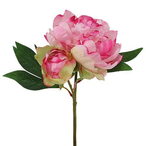 Floristik24 Pioenrozen met knop roze L30cm 2st