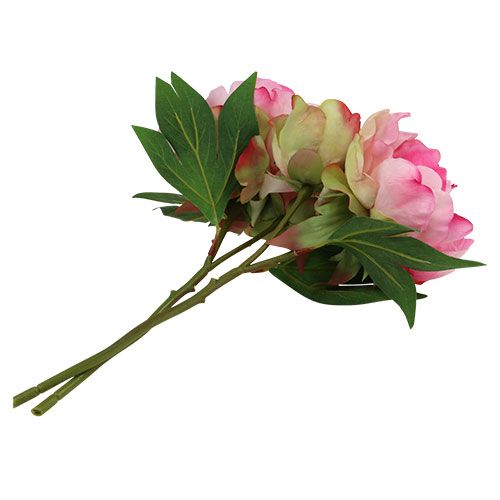 Floristik24 Pioenrozen met knop roze L30cm 2st