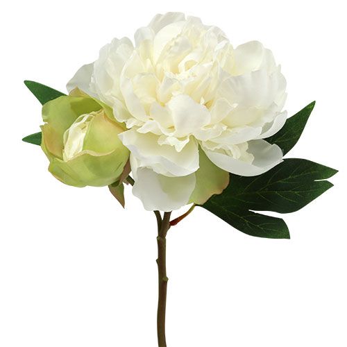 Floristik24 Pioenrozen met knop wit L30cm 2st