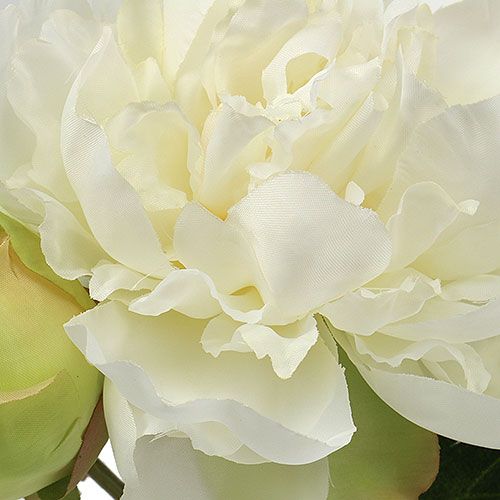 Floristik24 Pioenrozen met knop wit L30cm 2st