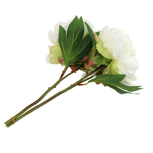Floristik24 Pioenrozen met knop wit L30cm 2st