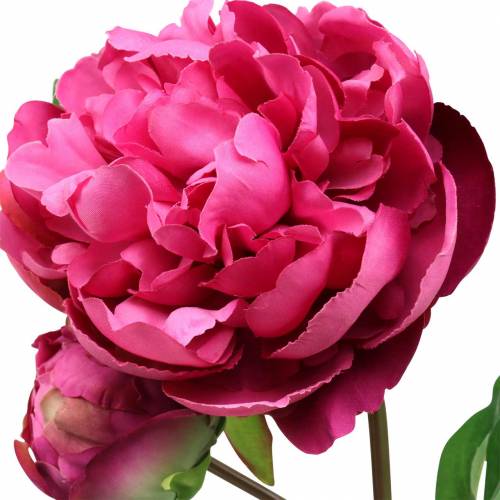 Floristik24 Pioen kunstbloem met bloesem en knop paars magenta 68cm