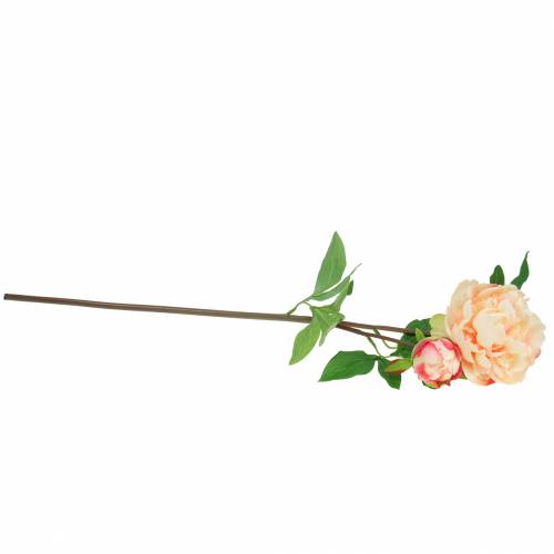 Floristik24 Pioen met bloem en knop kunstmatige perzik 70cm