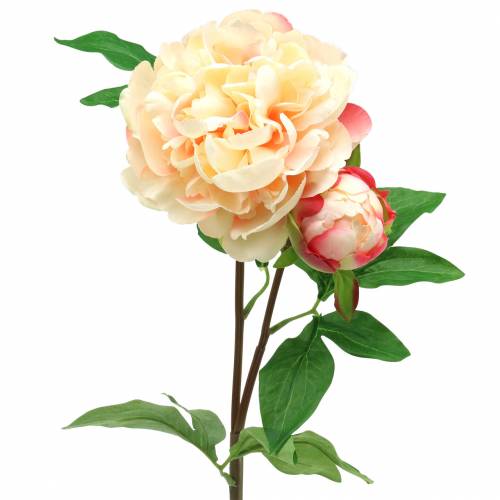 Floristik24 Pioen met bloem en knop kunstmatige perzik 70cm