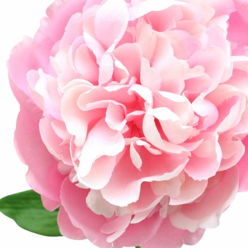 Floristik24 Pioenroos kunstbloem met bloesem en knop roze 68cm