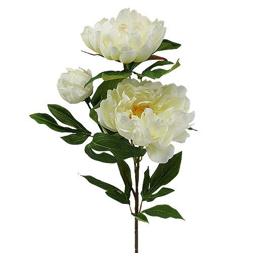 Floristik24 Pioenroos kunstbloemen creme L70cm