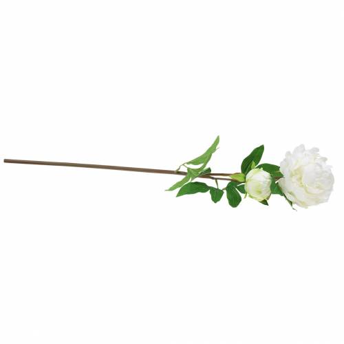 Floristik24 Pioen wit 72cm