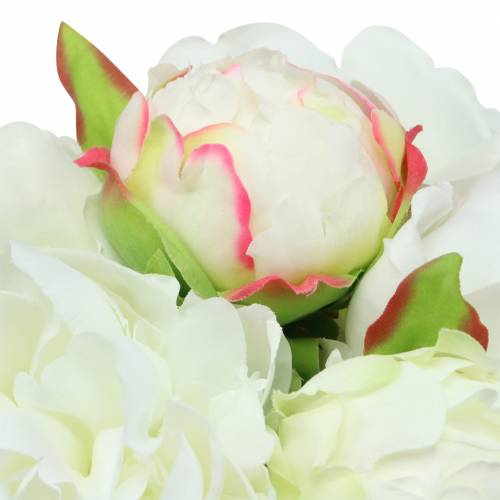 Pioenbos wit / roze 27cm 6st