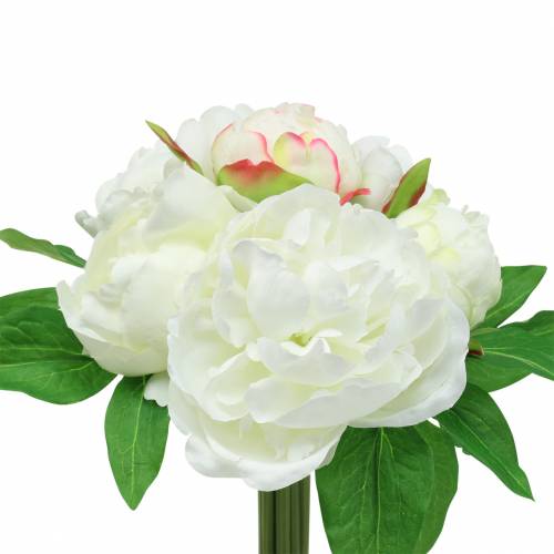 Pioenbos wit / roze 27cm 6st