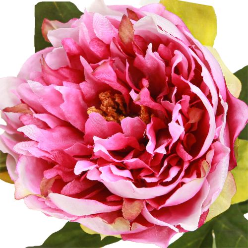 Artikel Pioenrozen Kunstbloemen met lange steel Roze 70cm 3st
