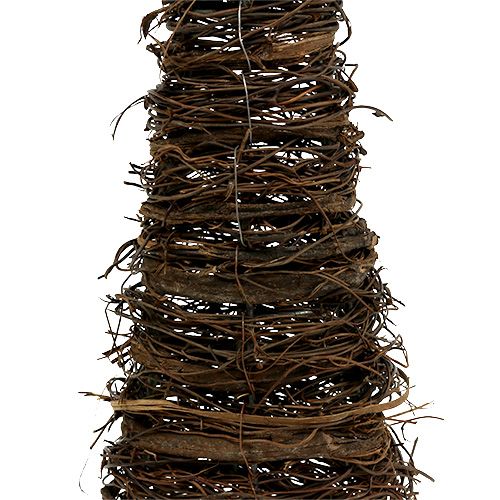 Floristik24 Plantkegels naturel set van 3 40x10/60x15/80x20cm