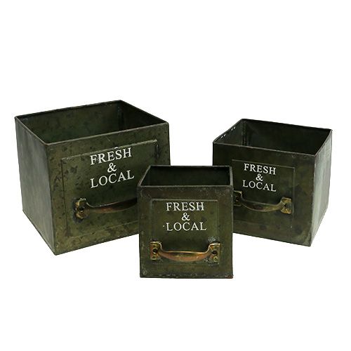 Floristik24 Plantenlade set van 3 antiek groen