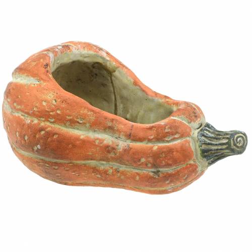 Pompoen voor opplant Sinaasappel 28 × 15 × 14cm