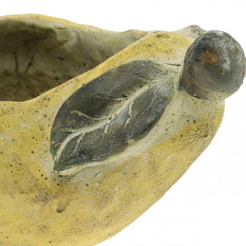 Artikel Peer voor opplant, herfstdecoratie, betonnen vat L19cm H15.5cm