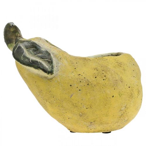 Artikel Peer voor opplant, herfstdecoratie, betonnen vat L19cm H15.5cm