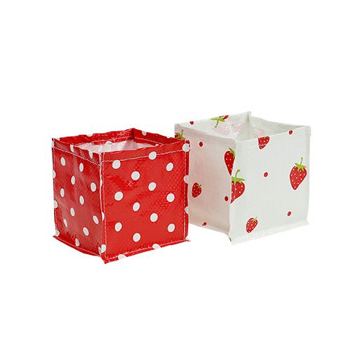 Floristik24 Plantendoos 10x10cm 8st. Rood / Wit