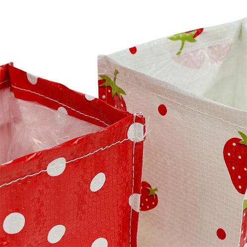 Floristik24 Plantendoos 10x10cm 8st. Rood / Wit