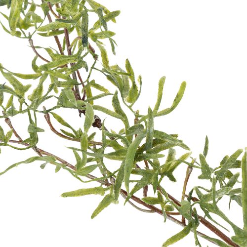 Artikel Aspergeslinger voor feestelijke kamerdecoratie en stijlvolle gelegenheden, 170 cm